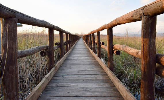 Excursion Lake of Massaciuccoli